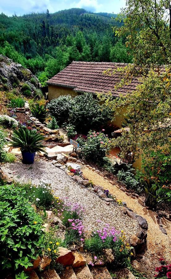 Apartamento Quinta Do Cabril Serpins Exterior foto